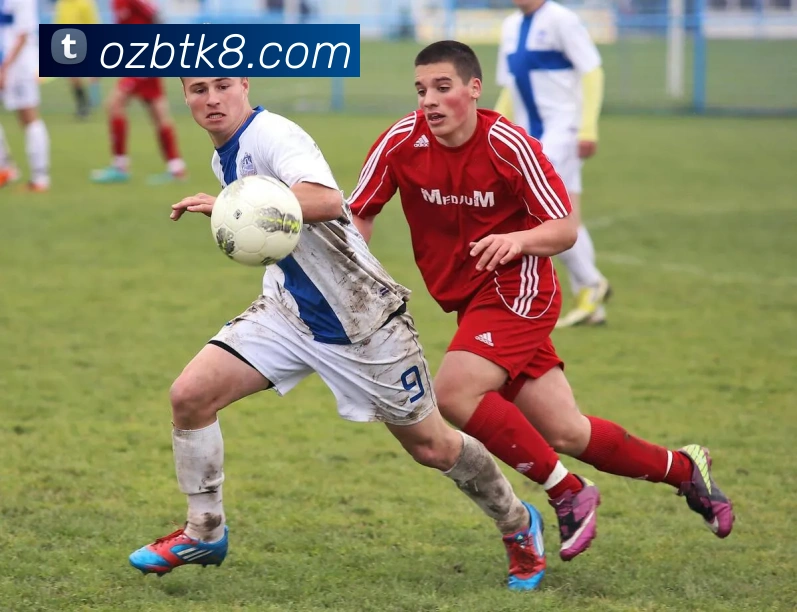 凯发K8服务体系